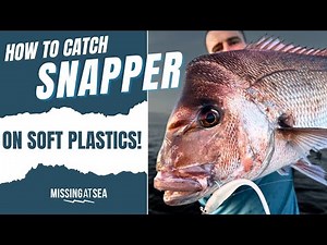 How to catch Snapper on Soft Plastics!