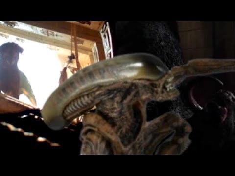 The Runner Alien: Ox or Dog?