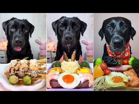 Epic Dog Feast | 3 Labradors Enjoy Eggs, Steak, and Fresh Veggies 🌈🐶🍽️