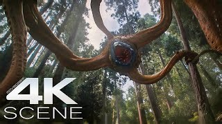 Predator Vs Alien Tentacle Monster 2025 Fight Scene Predator Badlands Movie Clip 4k Moviegasm Com Mp3 Music & Mp4 video downloads