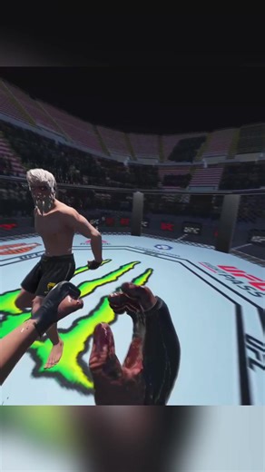 #ufc #fight #vr