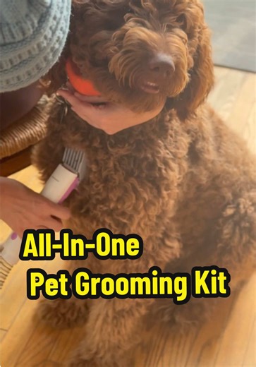 All-in-one pet grooming kit with powerful suction, quiet 60dB operation, and multiple tools for brushing, trimming, and cleaning. Keep your home fur-free while giving your pet a comfy, stress-free grooming experience. Perfect for dogs and cats of all sizes. #PetGroomingKit #FurFreeHome #PetCareEssentials #DogTok #CatParents