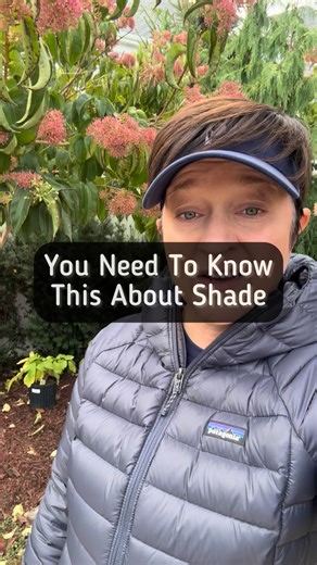 Full shade is a location that gets no direct sunlight. The morning sun from the east is being blocked in the west afternoon sun is being blocked as well. partial shade is locations under trees were dappled sun does make it through the canopy, but in very small amounts. It is also a mostly shady area that gets up to four hours of morning sun from the east. in shade and partial shade areas you need to find plants that are listed for shade/partial sun. I like spikenard and goats beard, Heuchera, Ja