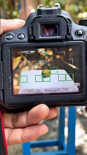 Canon 700d photography #canon700d #50mm #photography #photo