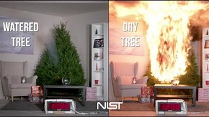 24K views · 136 reactions | If you're making a list, and checking it twice, make sure it includes a reminder to water your Christmas tree  The National Institute of Standards and Technology demonstrated what could happen if a fire starts in a watered Christmas tree vs. a dry Christmas tree. | The Weather Network | Facebook