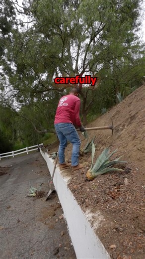 17K views · 509 reactions | Why I Choose My Clients Carefully #landscape #construction #contractor | The Maestro | Facebook