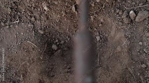 Gardener hoeing holes in soil with mattock, slow motion. Farmer man working in field digging in beds for planting seeds. Agriculture concept. Greening environment, ecology