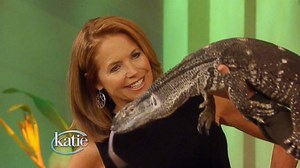 Jeff Corwin Brings The Jungle to Katie