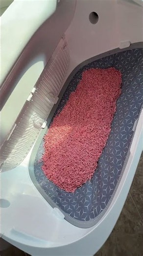 Meowant XXXL automatic litter box is made for the big cats that make every other self-cleaning Itter