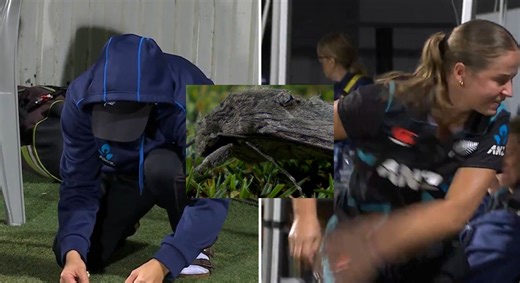 [Watch] New Zealand’s Eden Carson pranks teammate Jess Kerr by placing a moth on her shoulder during AUS-W vs NZ-W 2nd T20I