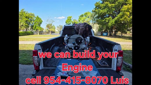 Blue Bird Performance inc (@blue.bird.perform)’s videos with original sound - Blue Bird Performance inc