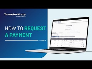How to Request a Single Payment on TransferMate