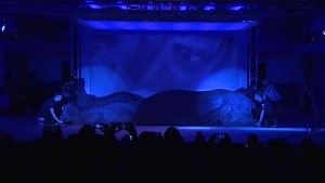 1.4M views · 981 shares | Today we made it official. Red Bull Racing and PUMA are #FasterTogether. Get an exclusive look. | PUMA | Facebook