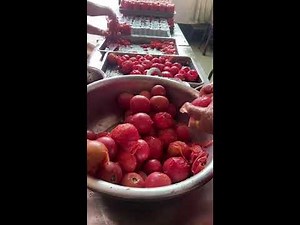 How to Can Tomatoes at Home | Live Step-by-Step Canning Guide
