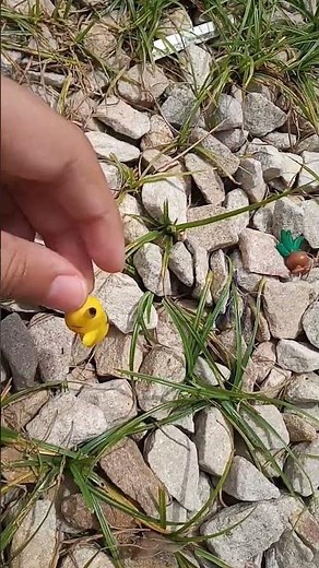 POKÉMON BATTLE ROYAL CAPITULO 1