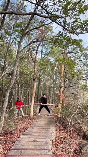 Forest Cleanup! Two People Team Up to Clear Withered Trees, Making the Forest Fresher