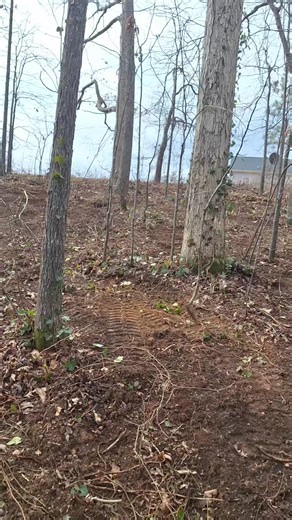 My son has a tree company called the tree reapers. We had an emergency job yesterday. Go cut a tree down while we was there. I was looking over this work that someone had done. Didn't look that great that grants us access