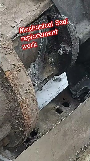 Mechanical Seal Replacement work# Grundfos Pump#HVAC