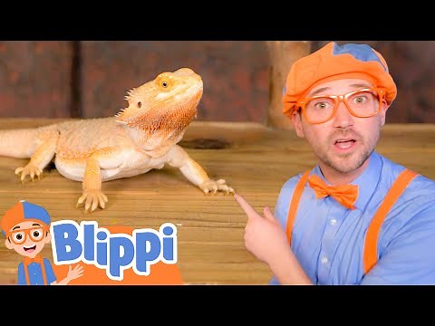 Blippi Meets REPTILE Friends! | Blippi | Challenges and Games for Kids