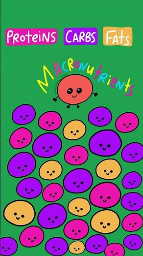 Macronutrients vs. Micronutrients #nursingschool