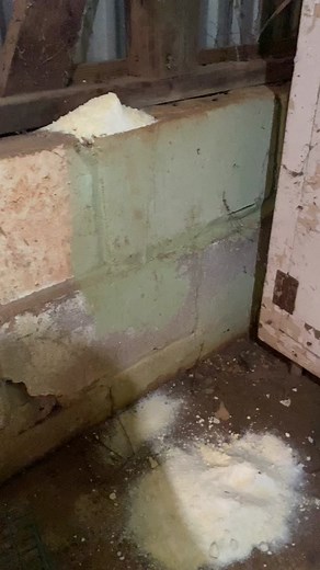 Making Killer Rat Farts #rat #poison #bait #homemade #cheap | Rat Rod