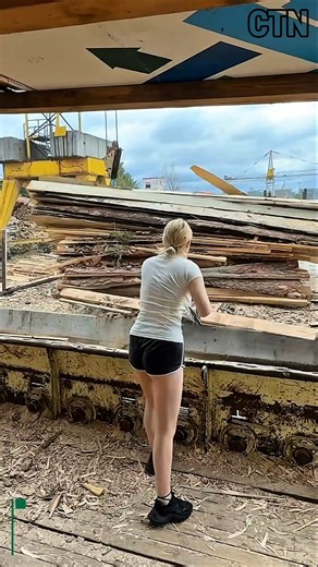 Wood Sorting Process Before Chipping Machine