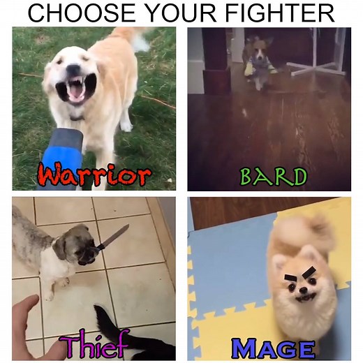 CHOOSE. YOUR. FIGHTER. | Smosh