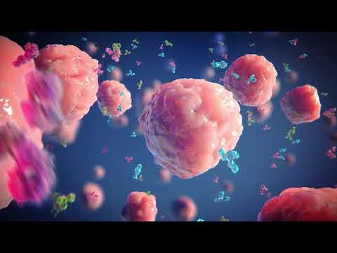 Next Generation CHO Transient Expression