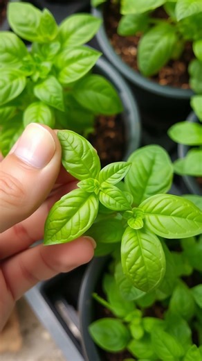 🤯 Plants Warn Each Other of Danger! Your Garden's Secret!