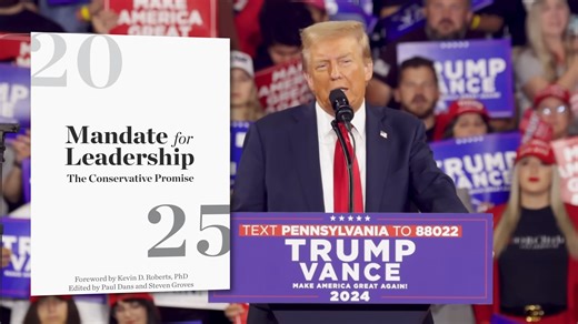 Why climate progress accelerated while politics got worse