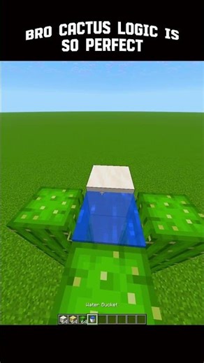 Minecraft Logic #minecraft #logic #shorts