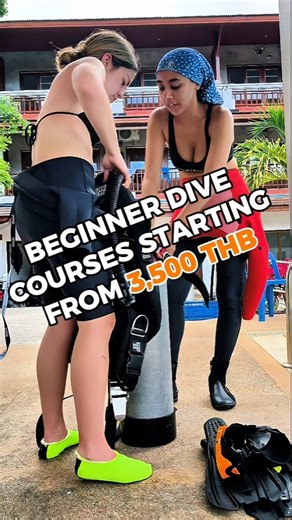 Beginner Diving Courses on Koh Tao, Thailand 🏝 #kohtao #scubadiving #travel #thailand