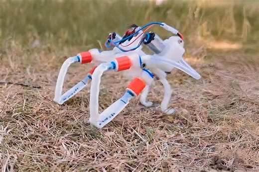 Innovative Soft Robot Has No Brain, Moves Without Thinking