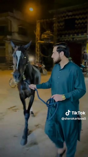 Discover the Charm and Grace of Bulbul in Nature