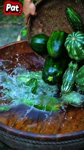 Amazing Pumpkin Harvest & Traditional Drying Process | Organic Farming