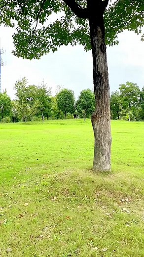 2.2K views · 18 reactions | The Vlogger on Reels | Facebook