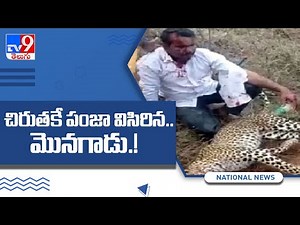 Karnataka man strangles leopard to death after animal attacks him and family -TV9