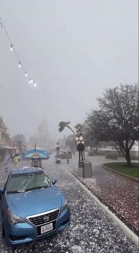 “Disney World Orlando Hit by Massive Hailstorm | Extreme Weather Chaos Caught on Camera”