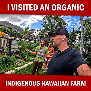 524K views · 8.9K reactions | I Visited An Organic Indigenous Hawaiian Farm | Peter Santenello | Facebook