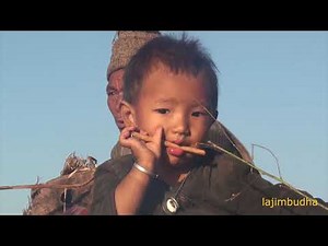 the work in sheep farm || shepherd life || nepali shepherd || pastoral life ||