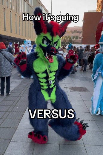 Exploring Fursuit Creations in the Furry Fandom