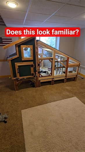 This basement has a secret Serama Edition #homesteading #chicken #tinybirds #pets