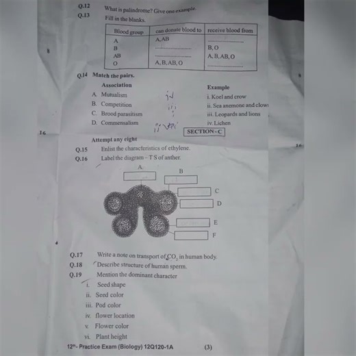 12th class biology special practice exam