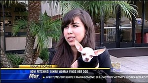How fetching! Bikini woman finds her dog