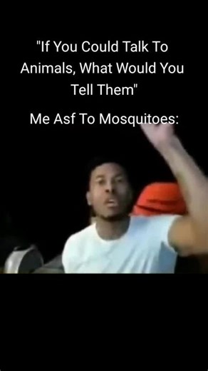 i would be killin them #fyp #fypシ #funny #meme #xyzbca #lowtiergod #post