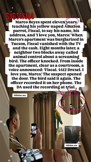 Parrot Exposes Thief… By Saying His Address 😳