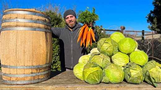 Harvesting Fresh Crops And Cooking Korean Cabbage With Delicious Sausages