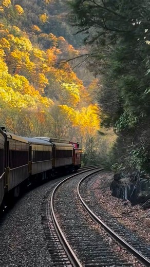 🚂 Train Trip Fall feels like a dream ✨🧚 #Pennsylvania #fall #autumn #poconos #railway #jimthorpe #fairy #nature | Phương Luu