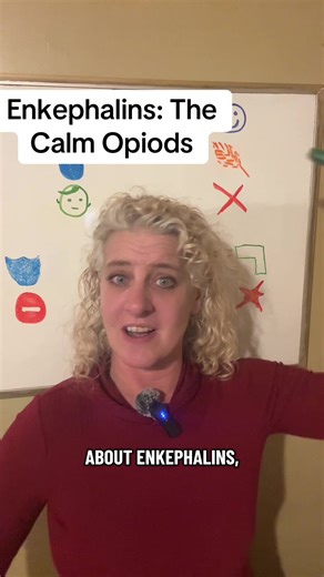 Trauma science, understandable for everyone. Enkephalins are one of the body’s natural opioid peptides – but unlike endorphins or dynorphins, their role is calm regulation. If endorphins are joy energy, and dynorphins are numbing shut down, enkephalins are the steady middle ground. This is the nervous system saying “I’m here. I can handle this.” Not dramatic. Not flat. Just regulated. ##cptsd##ptsd##stemtok##enkephalins##polyvagal