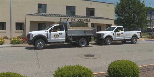 City of Vienna announces new brush collecting program for residents